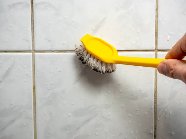 Best Water Damage Restoration  in Roselle, IL
