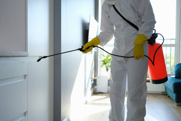 Best Professional Mold Removal  in Roselle, IL