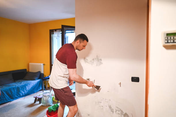 Best Mold Removal Near Me  in Roselle, IL